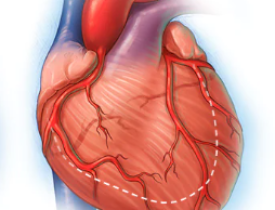 CHẨN ĐOÁN VÀ ĐIỀU TRỊ SUY TIM TRÁI CÓ PHÂN SUẤT TỐNG MÁU GIẢM